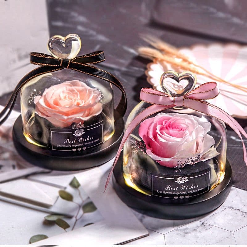 image-Preserved Rose Glass Cover with LED Lamp - Eternal Flower Gift