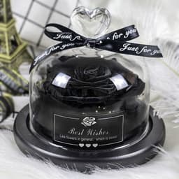 image-Preserved Rose Glass Cover with LED Lamp - Eternal Flower Gift