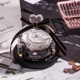 image-Preserved Rose Glass Cover with LED Lamp - Eternal Flower Gift