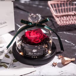 image-Preserved Rose Glass Cover with LED Lamp - Eternal Flower Gift