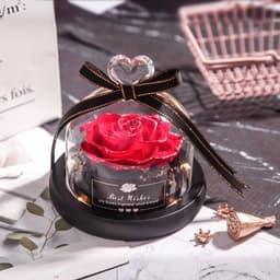 image-Preserved Rose Glass Cover with LED Lamp - Eternal Flower Gift