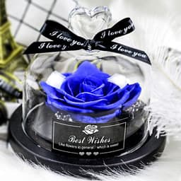 image-Preserved Rose Glass Cover with LED Lamp - Eternal Flower Gift