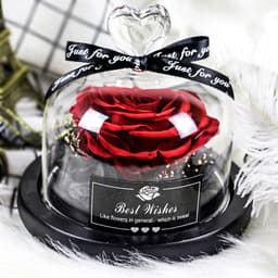 image-Preserved Rose Glass Cover with LED Lamp - Eternal Flower Gift