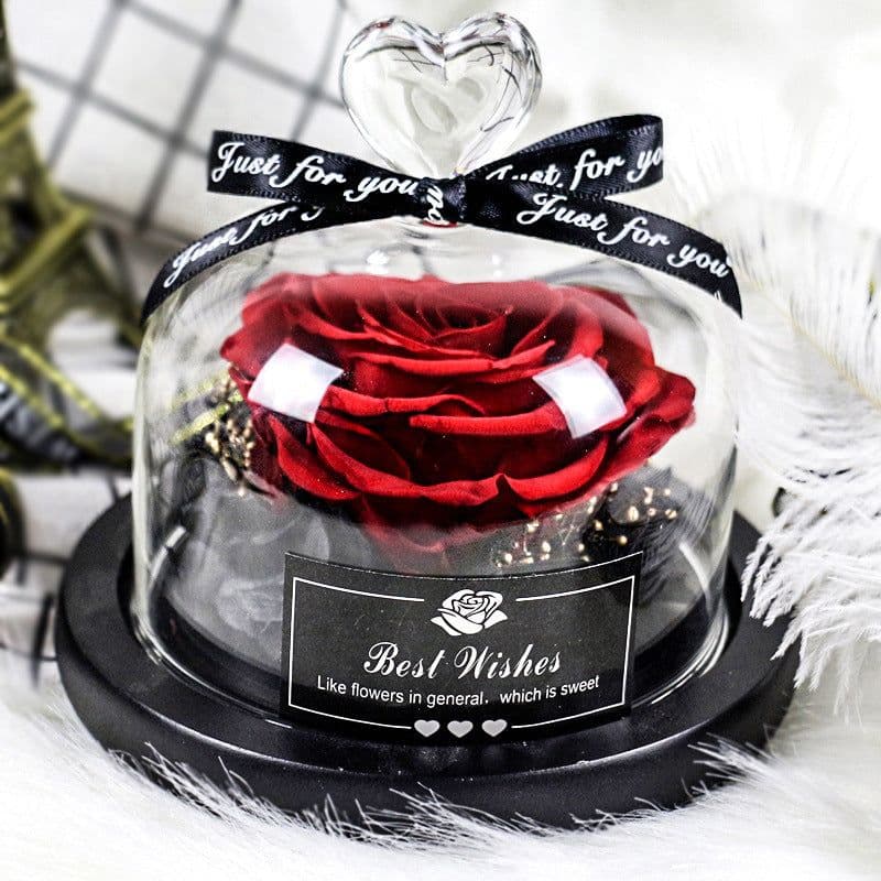 image-Preserved Rose Glass Cover with LED Lamp - Eternal Flower Gift