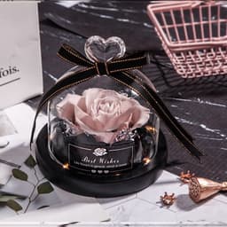 image-Preserved Rose Glass Cover with LED Lamp - Eternal Flower Gift