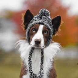 image-Dog Knitted Hat with Pom Pom - Windproof Winter Pet Headwear Gray L