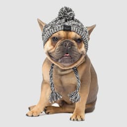image-Dog Knitted Hat with Pom Pom - Windproof Winter Pet Headwear Gray L