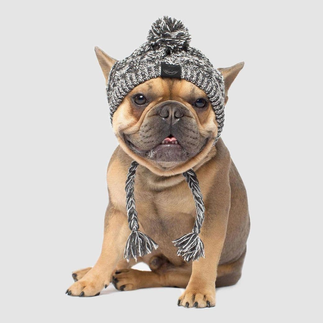 image-Dog Knitted Hat with Pom Pom - Windproof Winter Pet Headwear Gray L
