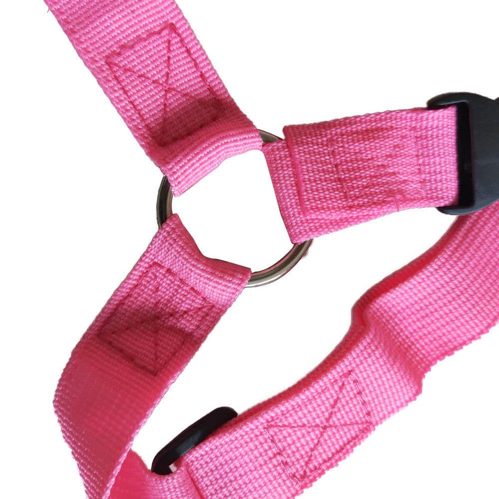 image-Pet Car Safety Seat Belt Leash Traction Rope CG901
