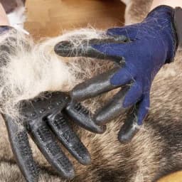 image-Pet Hair Removal Glove for Cats & Dogs - Grooming & Massage Brush