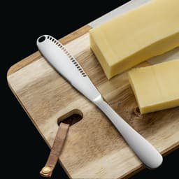 image-Diez Stainless Steel Cheese Spoon