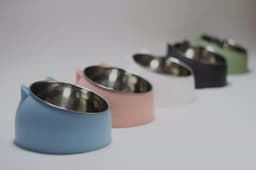 image-Stainless Steel Tilted Pet Bowl Anti-Tip Elevated Cat Dog Feeder