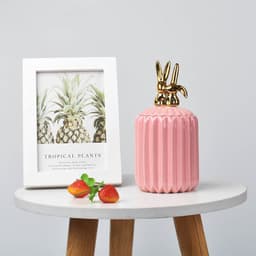image-FULIN Ceramic Storage Jar with Lid 300mL Lovers Rabbit Pink