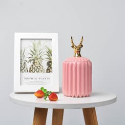 image-FULIN Ceramic Storage Jar with Lid 300mL Lovers Rabbit Pink