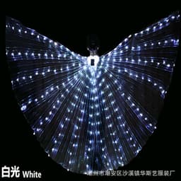 image-Huasiyi LED Luminous Dance Wings Adult Belly Dance Performance Props