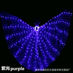 image-Huasiyi LED Luminous Dance Wings Adult Belly Dance Performance Props
