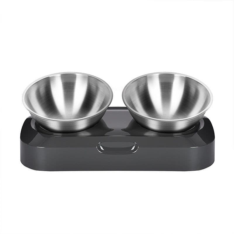 image-Adjustable Stainless Steel Tilted Cat Food Bowl Double Bowl