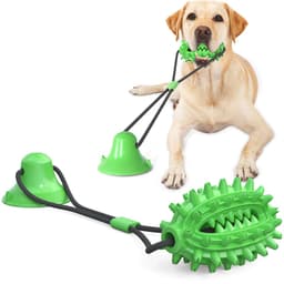 image-Dog Chew Toy TPR Cactus Ball with Suction Cup Green