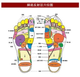 image-Healthy Road PVC Foot Massage Cushion 35x35cm