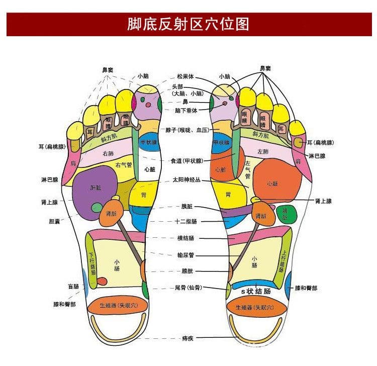 image-Healthy Road PVC Foot Massage Cushion 35x35cm