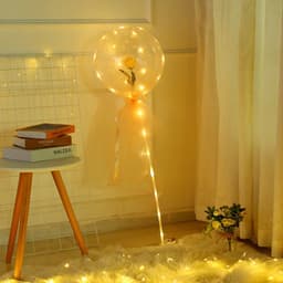 image-Transparent Bobo Balloon with Rose Lights for Party Decoration