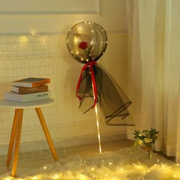 image-Transparent Bobo Balloon with Rose Lights for Party Decoration