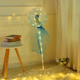 image-Transparent Bobo Balloon with Rose Lights for Party Decoration