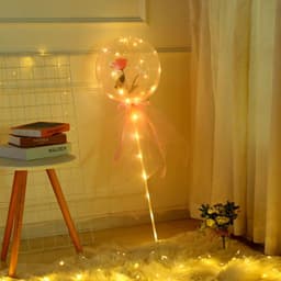 image-Transparent Bobo Balloon with Rose Lights for Party Decoration
