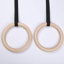 image-Gymnastic Rings Nylon with Adjustable Straps for Pull-Ups