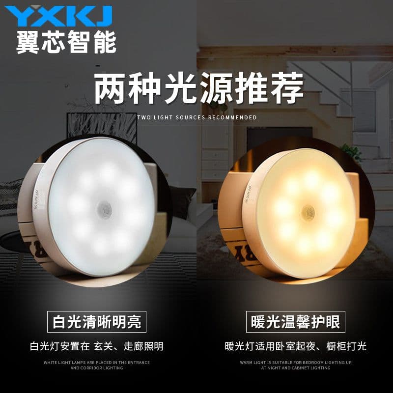 image-Wing Core Intelligent Motion Sensor LED Night Light with Auto Switch