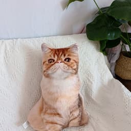 image-DIY 3D Cat Plush Pillow Toy Gift Brown 47x26cm