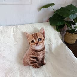 image-DIY 3D Cat Plush Pillow Toy Gift Brown 47x26cm