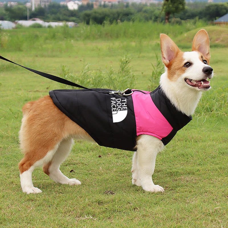 image-Waterproof Dog Coat Winter Warm Zipper Jacket Small Medium Large