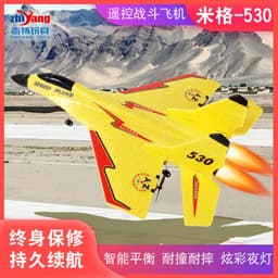 image-Zhiyang EPP Foam RC Glider Fighter Jet 2CH Remote Control Airplane