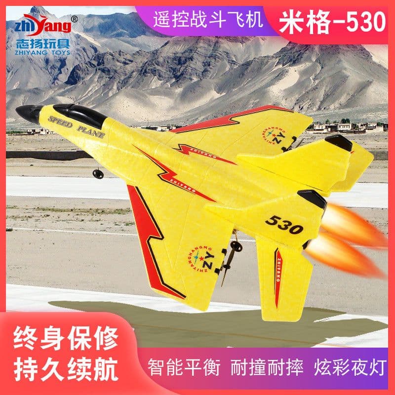 image-Zhiyang EPP Foam RC Glider Fighter Jet 2CH Remote Control Airplane