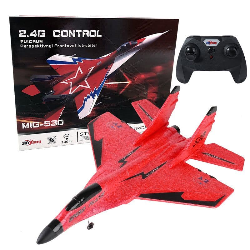 image-Zhiyang EPP Foam RC Glider Fighter Jet 2CH Remote Control Airplane