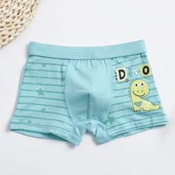 image-Boys Cotton Boxer Briefs Cartoon Dinosaur Print 5 Pack Ages 3-8