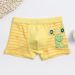 image-Boys Cotton Boxer Briefs Cartoon Dinosaur Print 5 Pack Ages 3-8