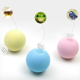 image-Cat Toy Sound Ball 3 Pack EVA Animal Call Frog Cricket