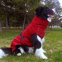 image-P&P Large Dog Harness Vest Waterproof Quilted Cotton Winter Brown