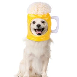 image-Pet Beer Hat Costume Headgear for Dogs and Cats