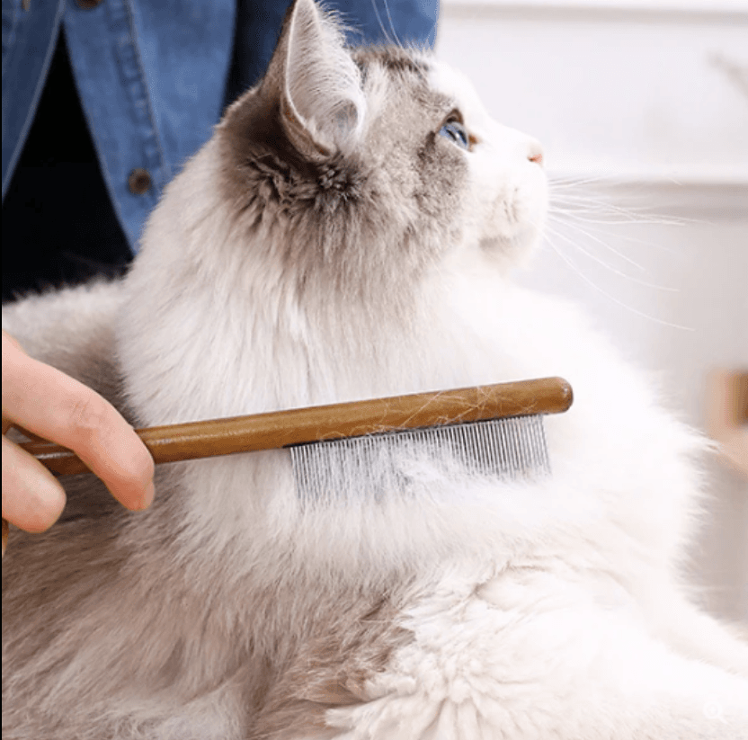 image-Pet Needle Comb for Cats - Solid Wood Handle Flea & Floating Hair Removal