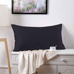 image-Silk Road 100% Mulberry Silk Pillowcase 19 Momme Double-Sided