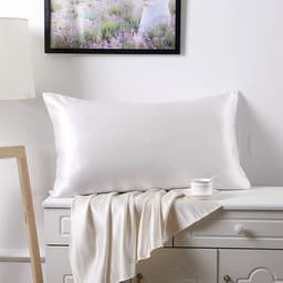 image-Silk Road 100% Mulberry Silk Pillowcase 19 Momme Double-Sided