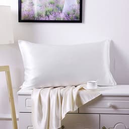 image-Silk Road 100% Mulberry Silk Pillowcase 19 Momme Double-Sided