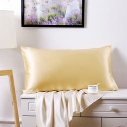 image-Silk Road 100% Mulberry Silk Pillowcase 19 Momme Double-Sided