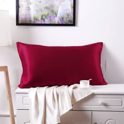 image-Silk Road 100% Mulberry Silk Pillowcase 19 Momme Double-Sided