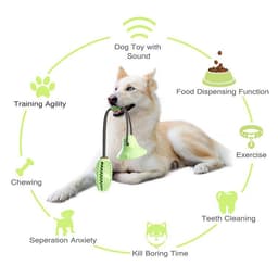 image-Chico TPR Suction Cup Dog Chew Toy with Teeth Cleaner Rugby
