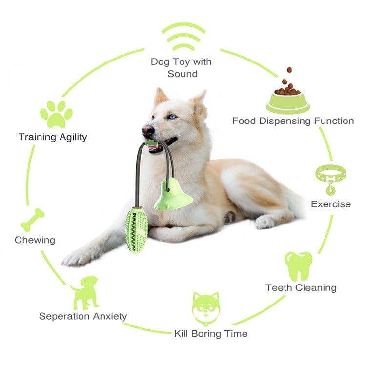 image-Chico TPR Suction Cup Dog Chew Toy with Teeth Cleaner Rugby