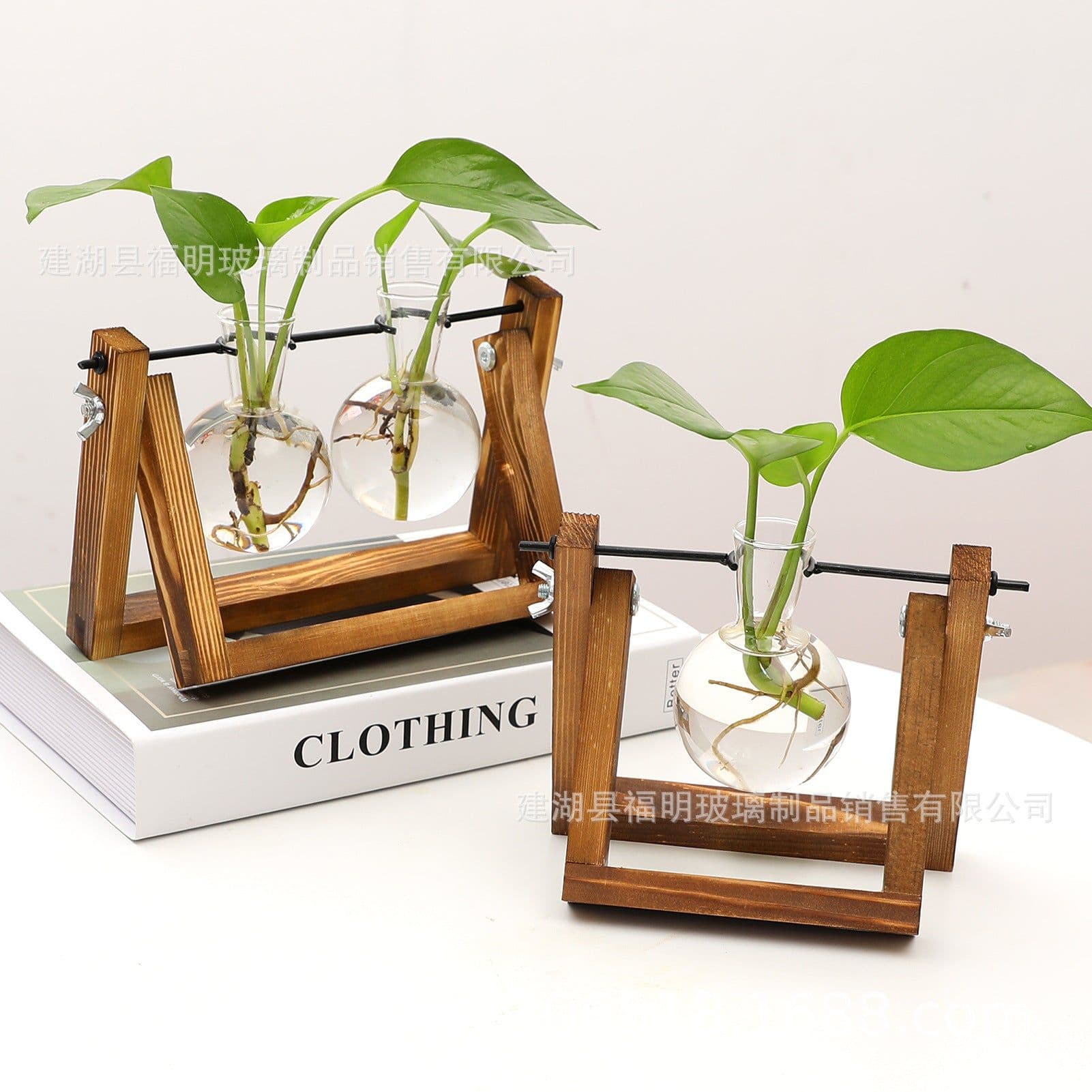 image-Glass Hydroponic Vase with Wooden Stand Home Office Decoration